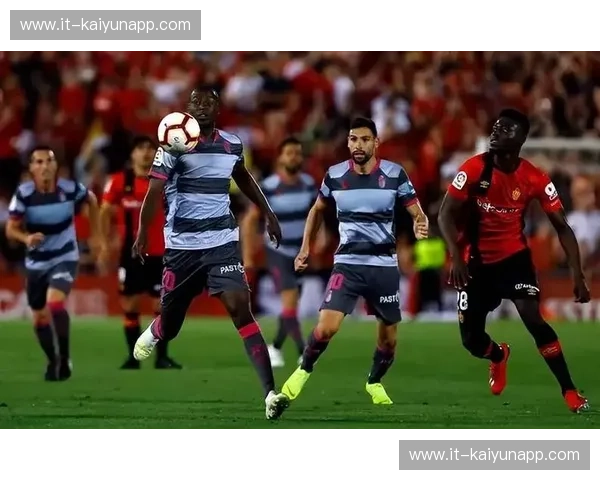 苏虎vs：一场关于灵魂觉醒与野性博弈的巅峰对话